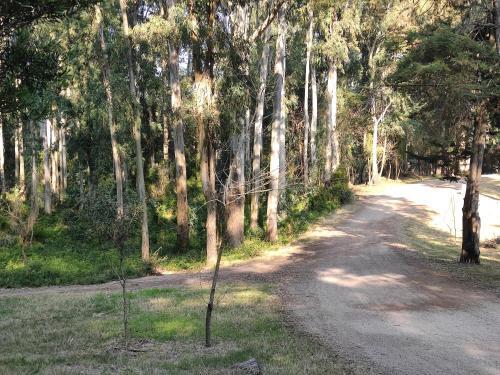 Apartamento Yb� Pit�