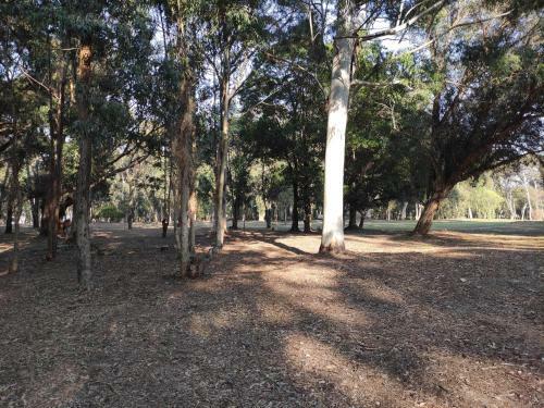 Apartamento Yb� Pit�