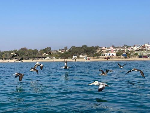Apartamento Departamento Playa Herradura Coquimbo
