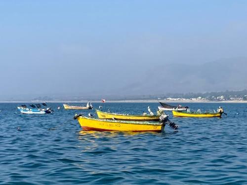Apartamento Departamento Playa Herradura Coquimbo