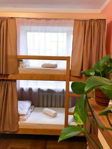 Pelican Guest House & Hostel