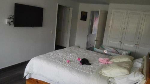 Habitaci�n Deluxe Con Ba�o Privado