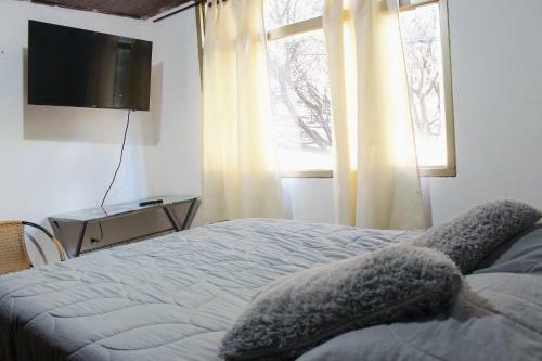 Casa Melo B&B