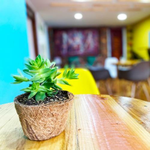 Albergue Hostal Macondo Bogot�