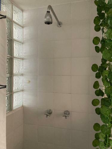 Apartamento Iluminado Y Central