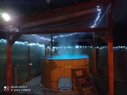 Cabana Piatra Plaiului