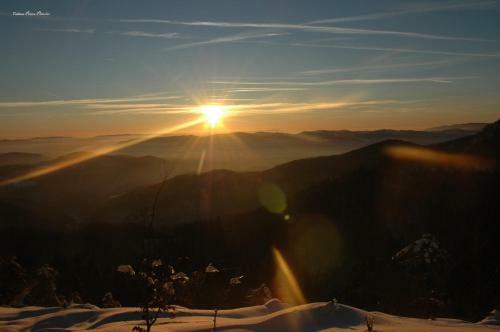 Cabana Piatra Plaiului