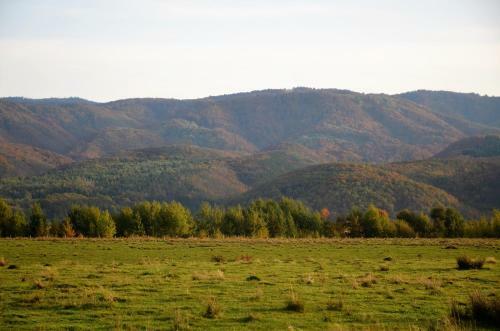 Cabana Piatra Plaiului