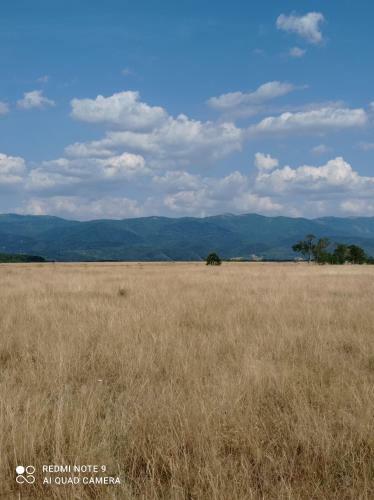 Cabana Piatra Plaiului