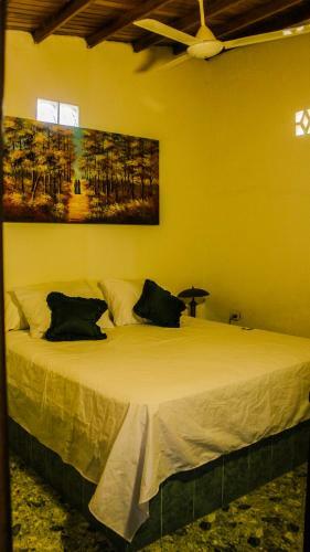 Hostal Playa Samara Hostel