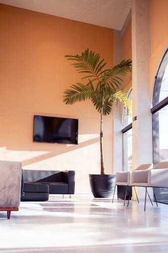 Bed & Breakfast Hotel Mamma Mia