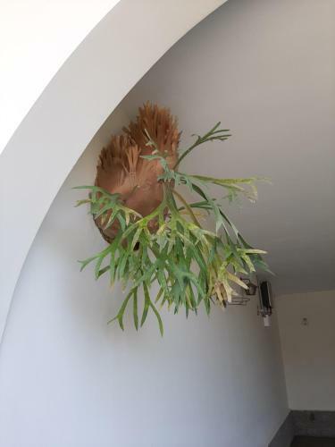 Posada Pousada Santa F�