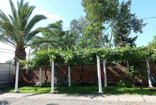Hostal Hospedaje Curic� Casa Grande