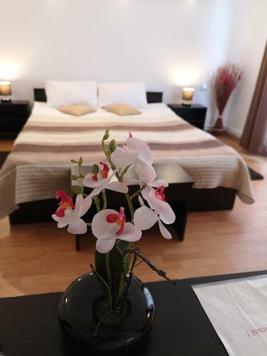 Hostal Casa Mais