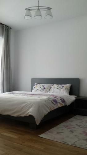 Apartamento Commodus