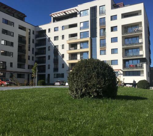 White Apartment Brasov