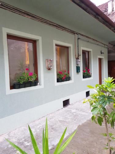 Apartamento Weiss House