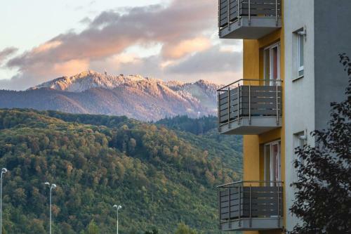 Belle View Apartment Brasov