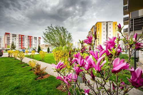 Belle View Apartment Brasov