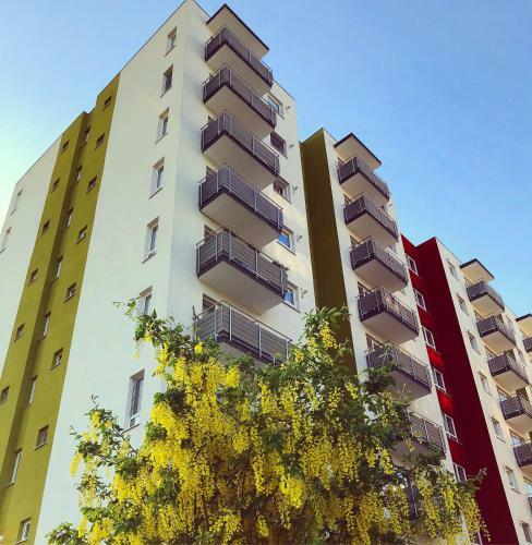 Belle View Apartment Brasov