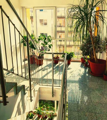 Belle View Apartment Brasov