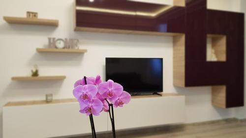 Eme Apartments 2