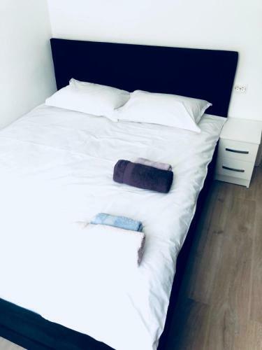 Liviu's Apartment