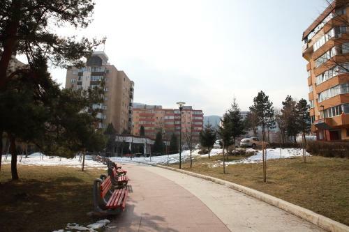 Cozy Apartment In Brasov