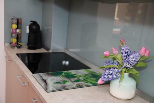 Cozy Apartment In Brasov
