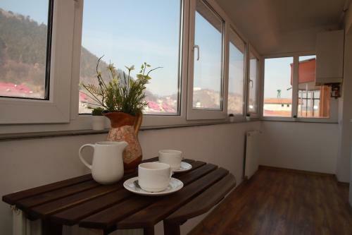 Cozy Apartment In Brasov