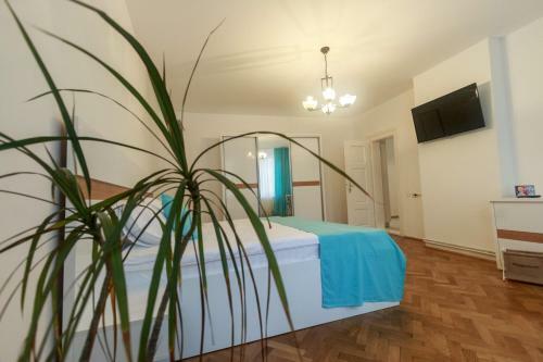 Strada Mure?enilor - Savas Apartament