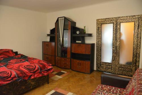 Apartament Oana