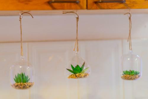Apartamento Pine House