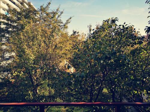 Apartamento Dragonfly Studio With Garden