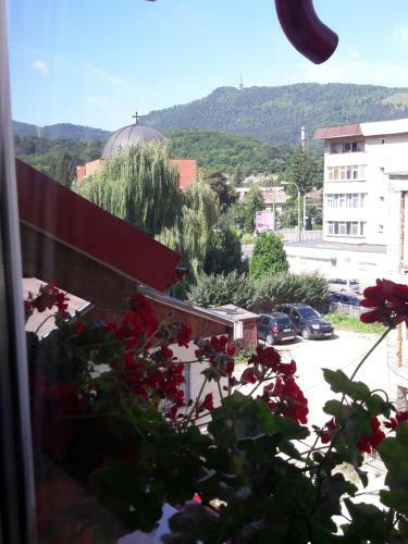 Apartamento Felicita
