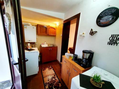 Apartamento Bra?ov Residence One