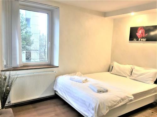 Large Apartment In Ultra-central Location