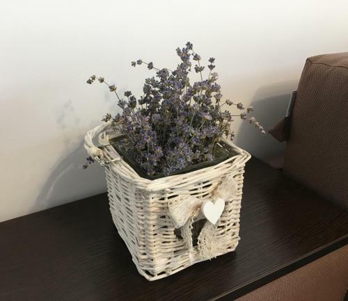Apartamento Elegantza Suites