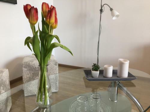 Apartamento Elegantza Suites