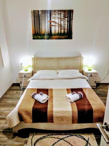Apartamento Tampa Guests House