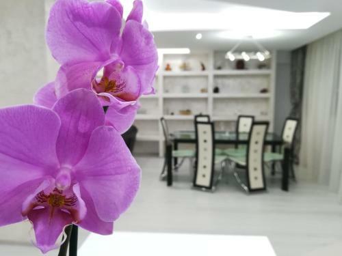 Paradise Apartament