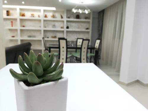 Paradise Apartament