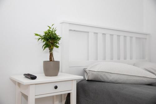 Apartamento Balcescu 18