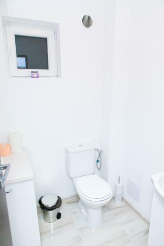 Villa Vila Elisabeta