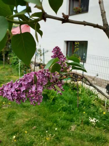 Apartamento R-house