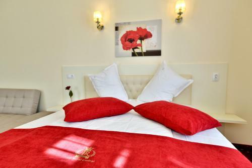 Hostal Top Royal Central Brasov
