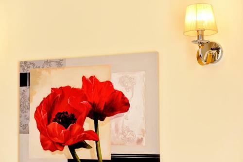 Hostal Top Royal Central Brasov
