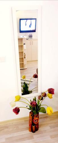 Apartamento Castelului 2