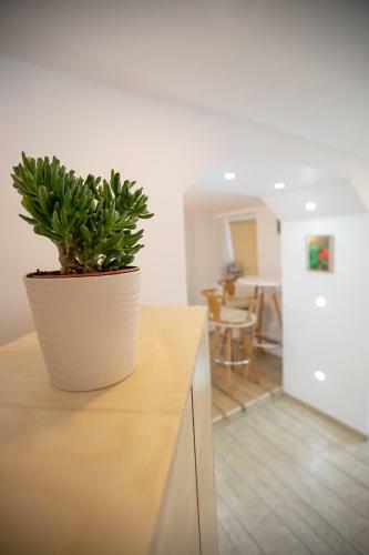 Hostal Brasha Residence