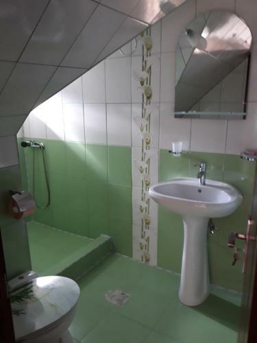 Villa Casa Padina Cu Pietre